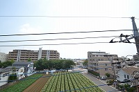 サンヒルズ国立 その他6
