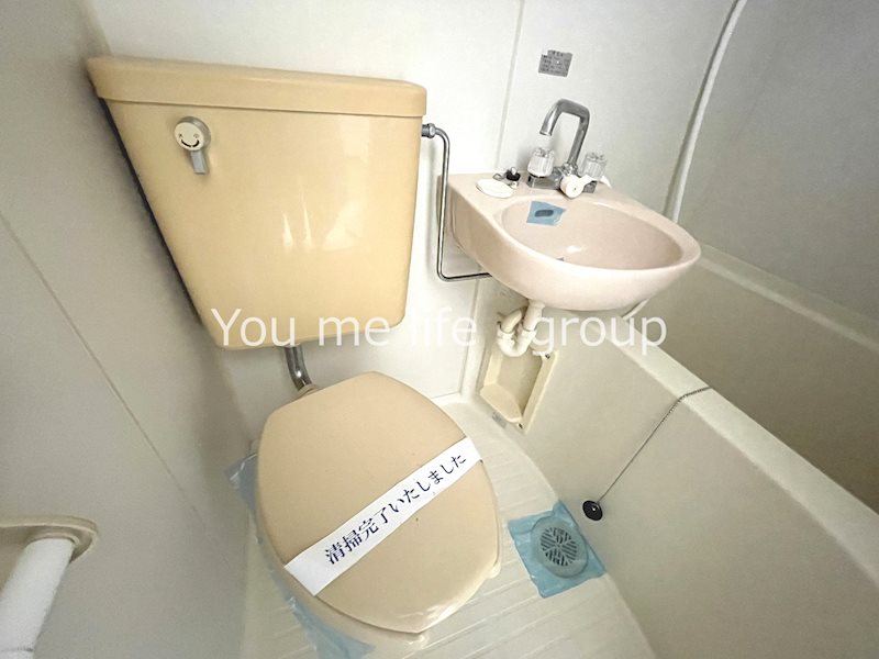 サンフラワーN その他1