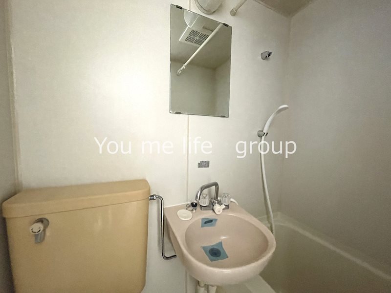 サンフラワーN その他2