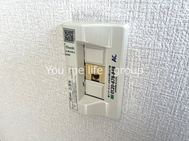 サンフラワーN その他5