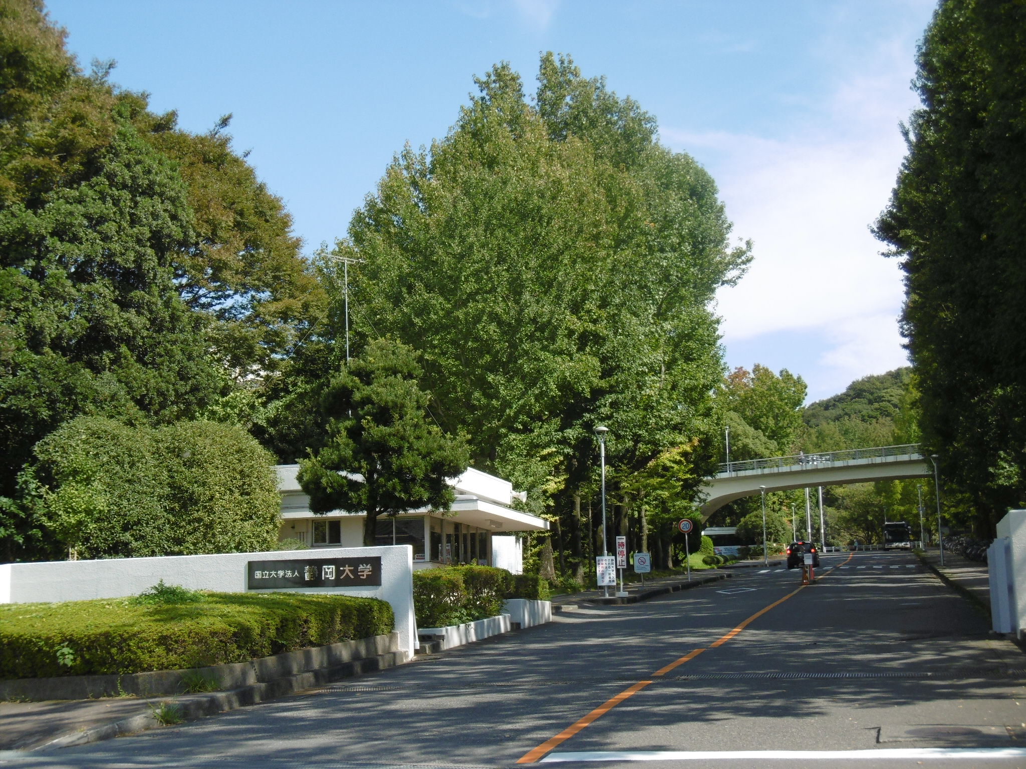 アネーロ 大学・短大