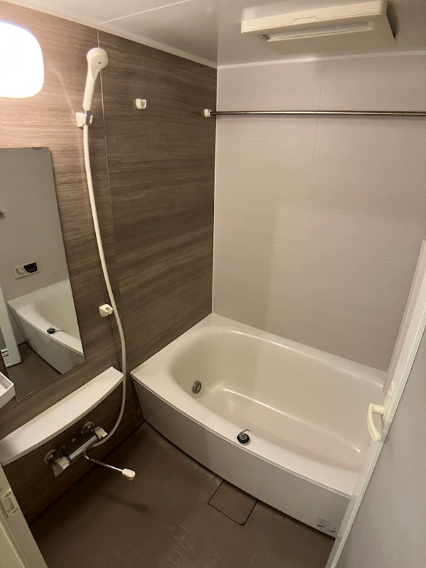 ビュー雷神Ⅲ 風呂画像