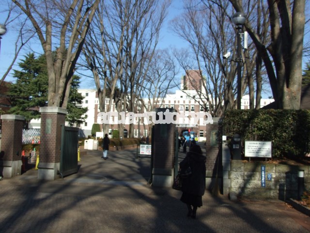 ムサシノレヂデンス 大学・短大
