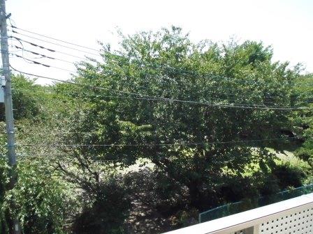 Sol Levante その他7