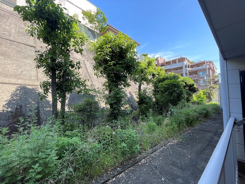 三都荘園 眺望