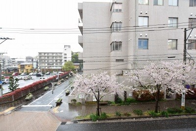 四季荘 その他7