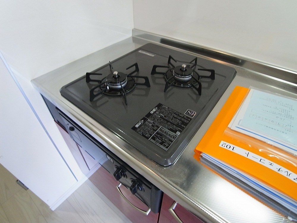 アルチェコート その他10