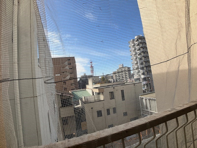 宮リバーハイツ 眺望
