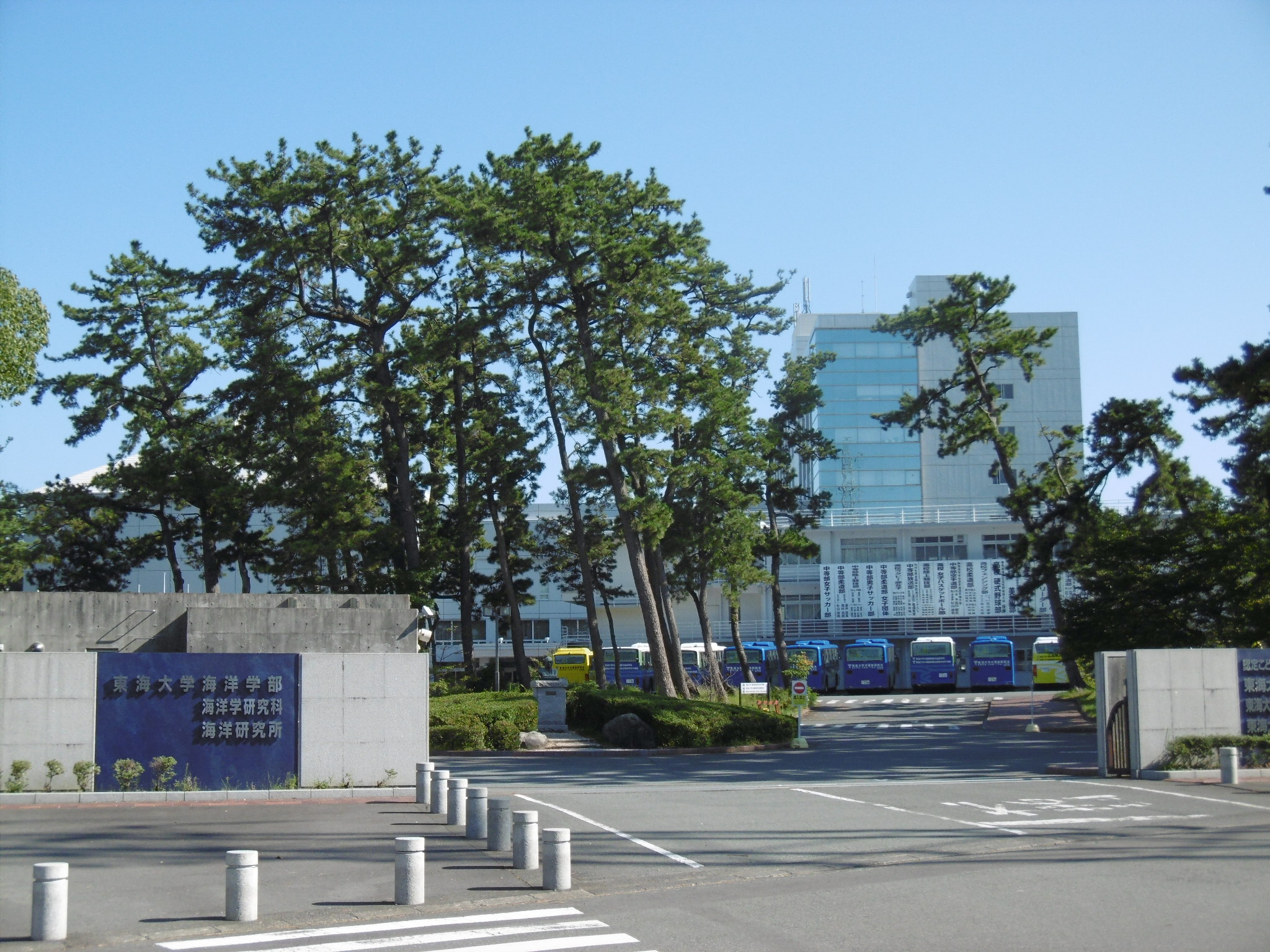 ソレアード12 大学・短大