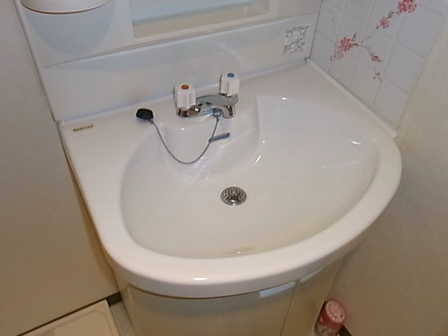 シェットランド その他4