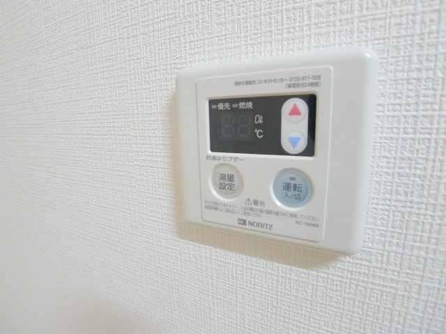 Lahaina初石 その他11