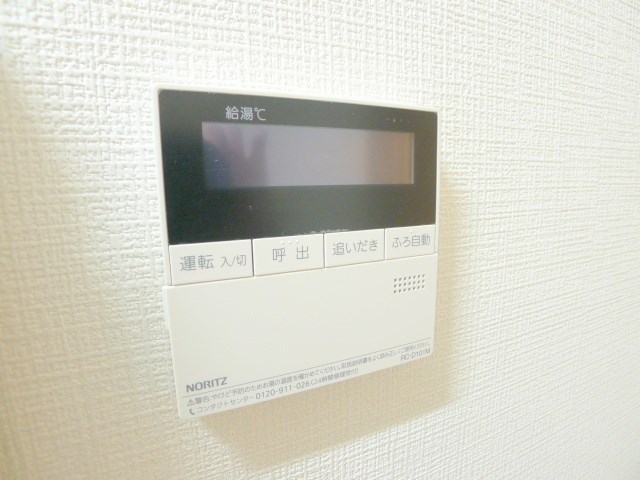 Lahaina初石 その他14
