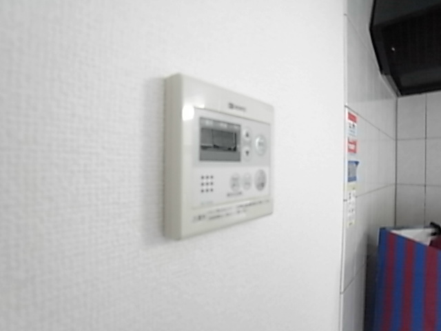 インゼルドルフ その他6