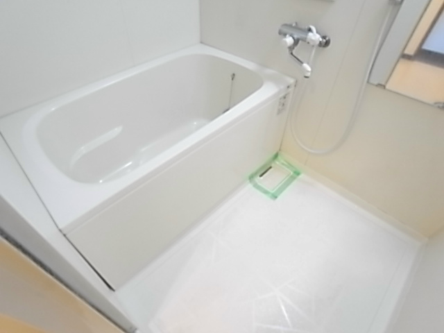 インゼルドルフ 風呂画像