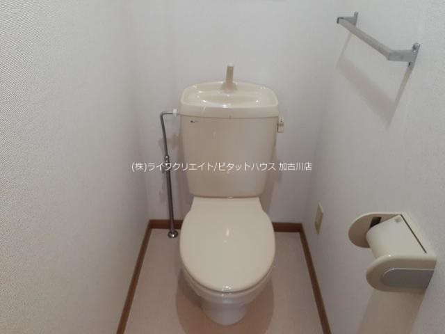 パルティーレ その他1