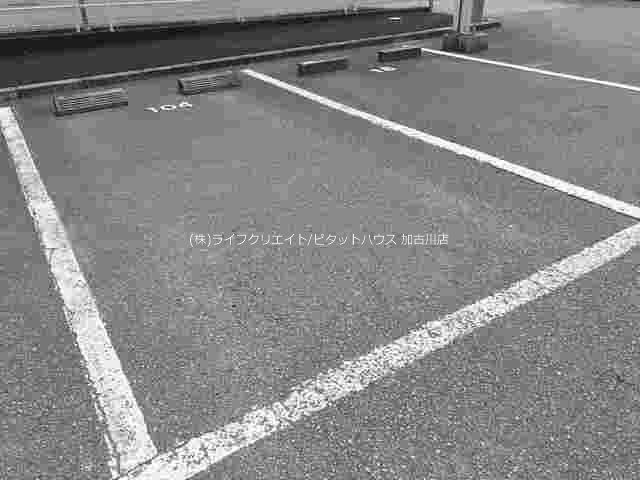 パルティーレ その他5