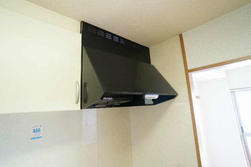 ダイナソアール その他