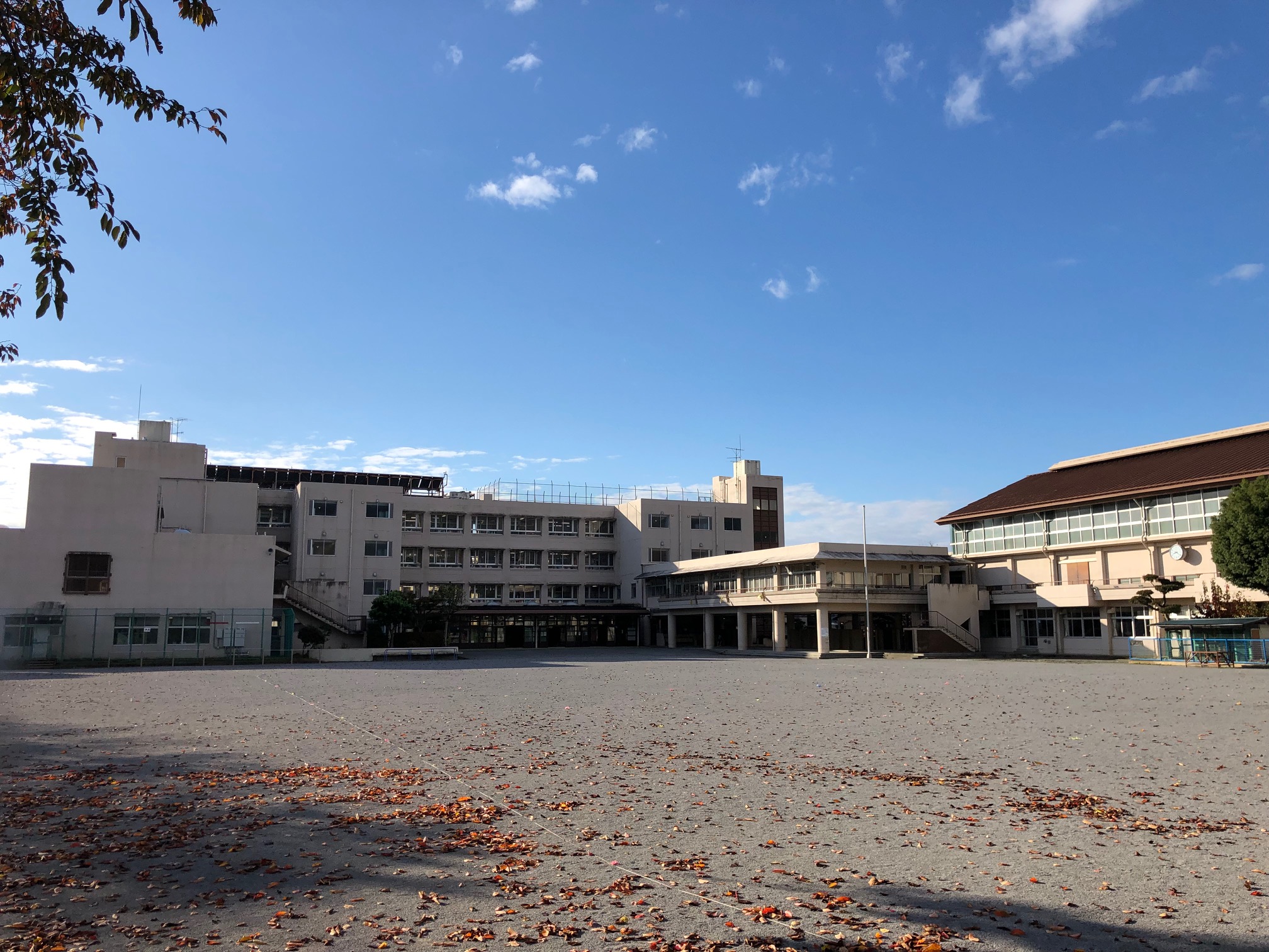 ロイヤルタウンD 周辺画像5