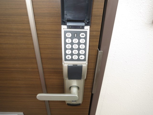 フィデスコート その他3