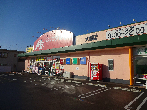 ヴィラミニョン ドラッグストア