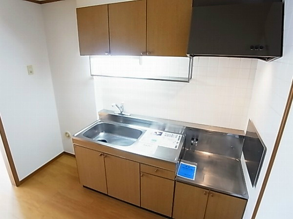 サンヒルズ柳沢２ その他15