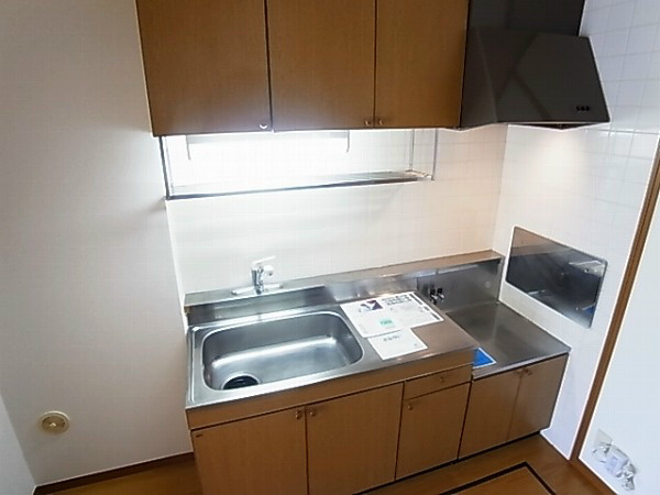 サンヒルズ柳沢２ その他16