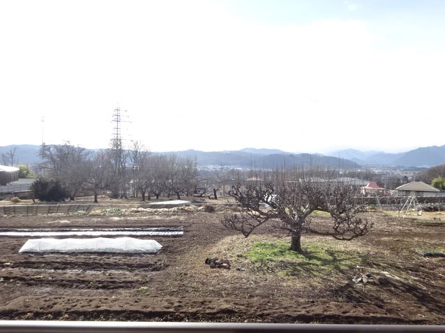 ソフィア 眺望