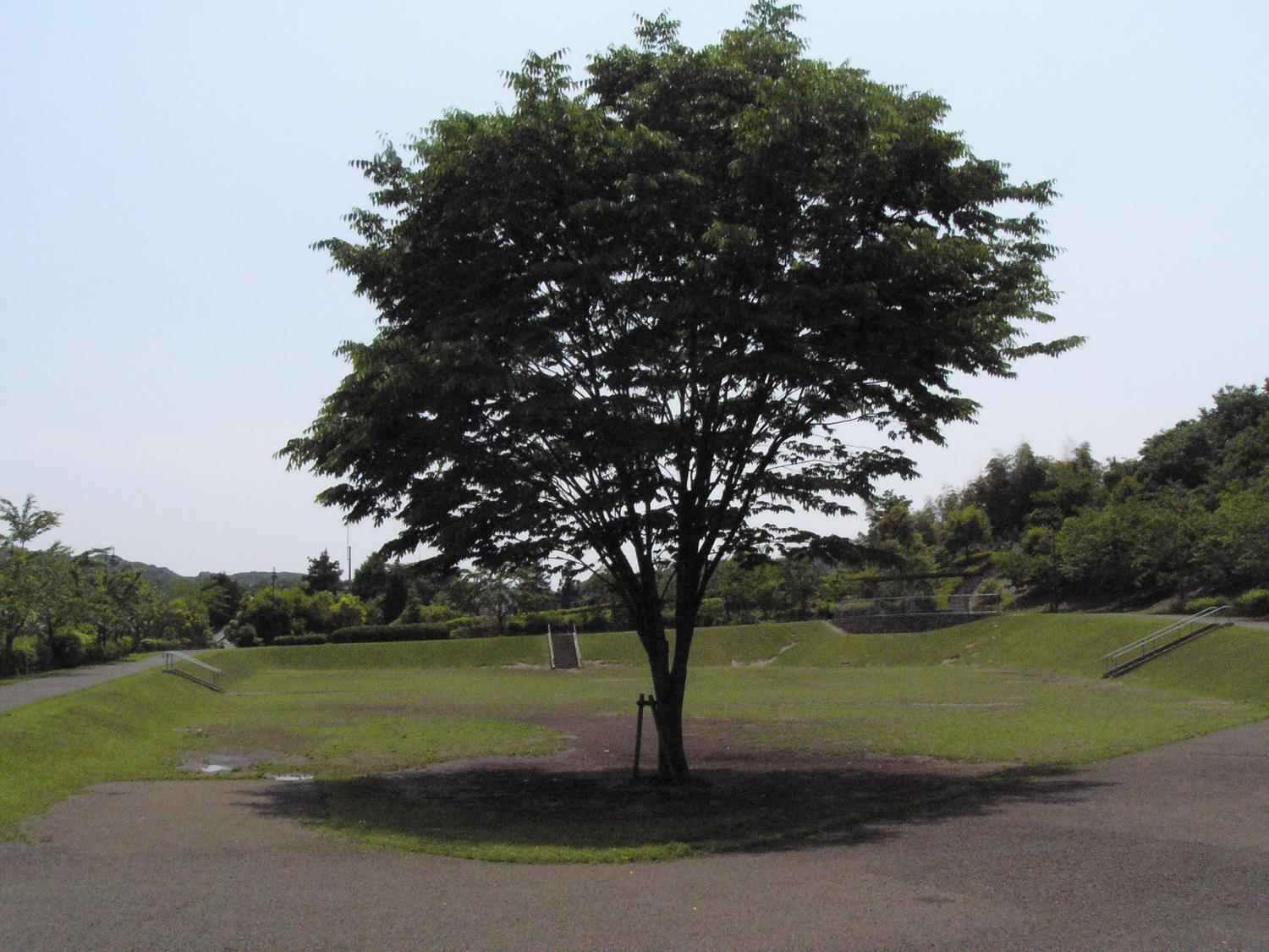 パピヨン八王子みなみ野 公園