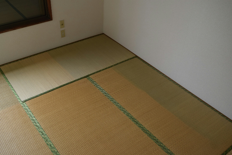 テラス柔 その他6