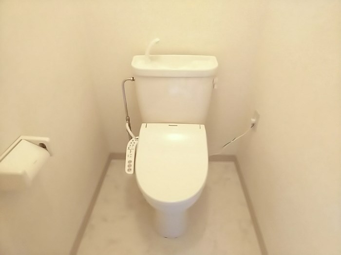 ロマネコンティ その他1