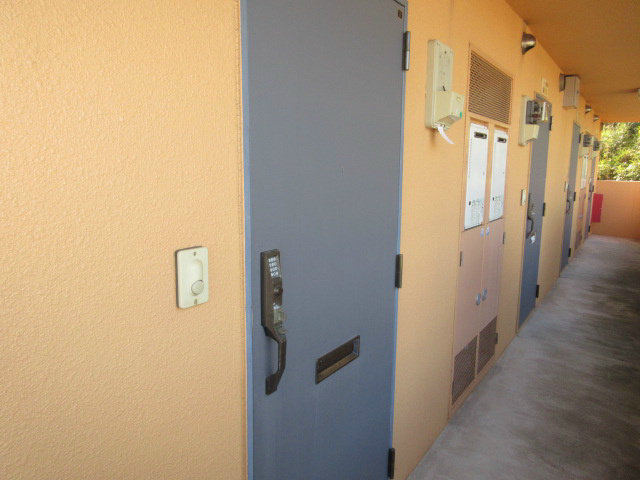 ロマネコンティ その他7