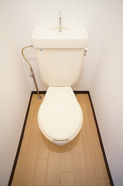 パステルグリーン その他2