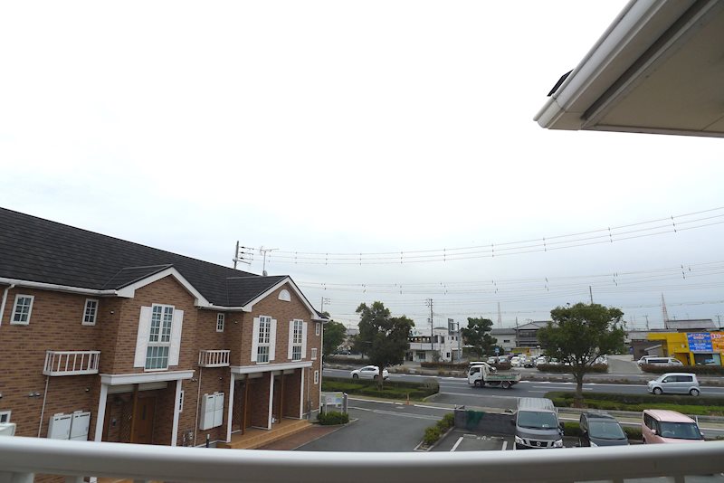 パルムドール その他9