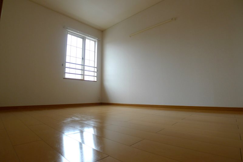 パルムドール その他16