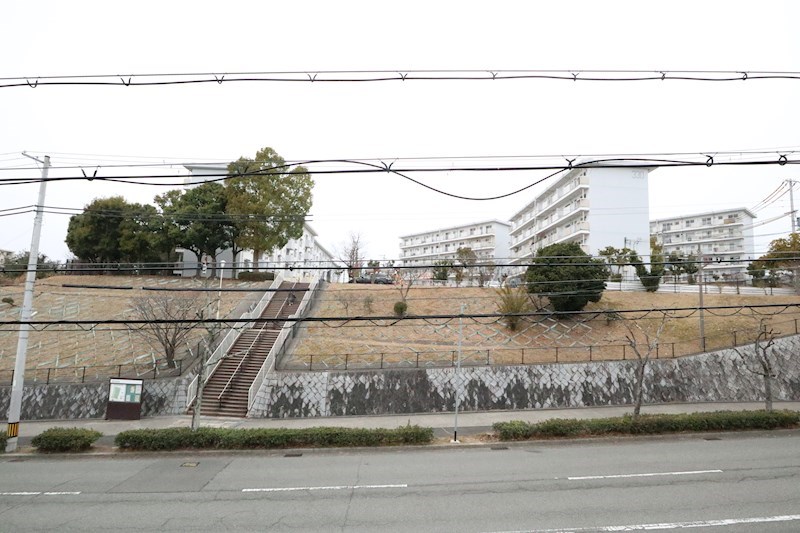 セグンド・エビスヤ その他4