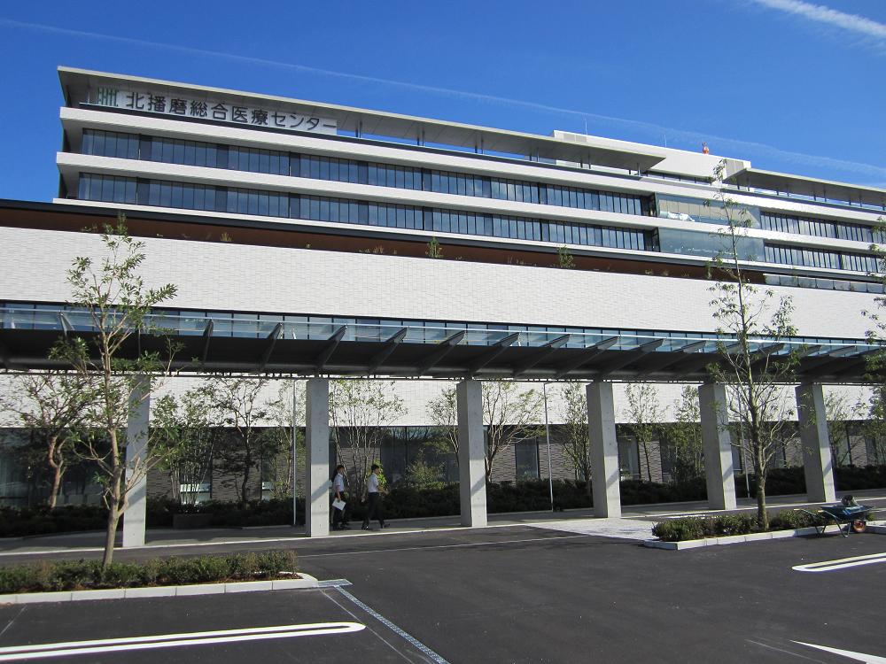 Little　Bird 周辺画像6