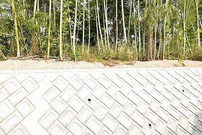 ル・メイユール・スーヴニール その他6