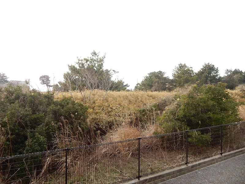 サンアップウェルⅡ その他5