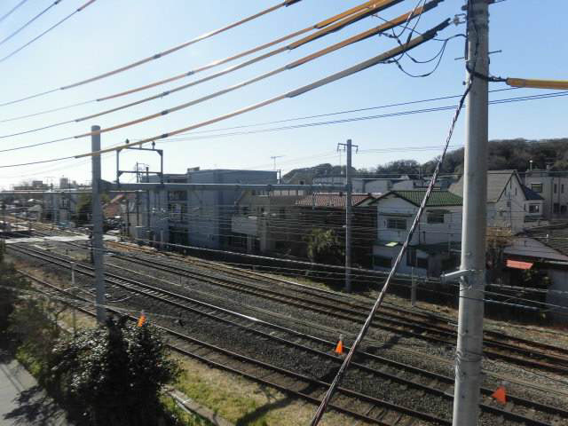 プチル小町 その他1
