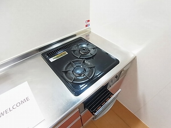 アビエス その他12