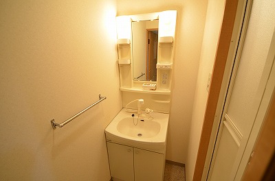 デザイナープリンセス３３ その他1