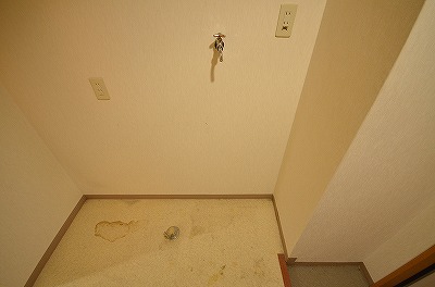 デザイナープリンセス３３ その他7