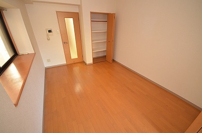 デザイナープリンセス３３ その他8