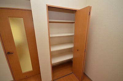 デザイナープリンセス３３ その他13