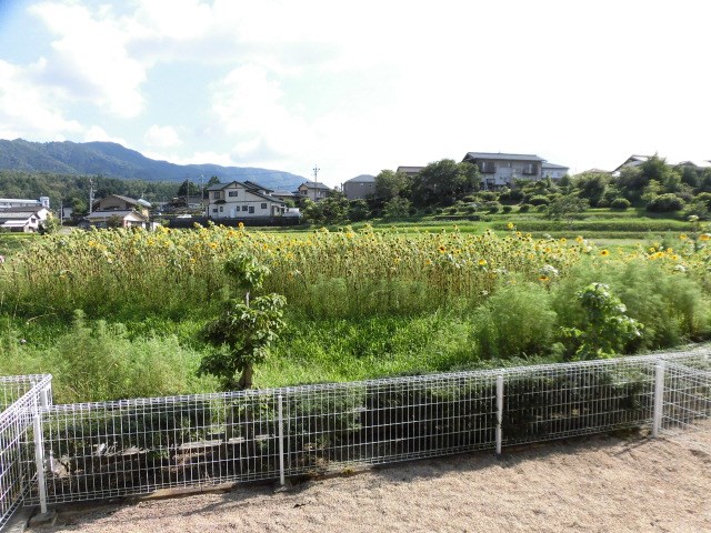 シャン．フォンテーヌ 眺望
