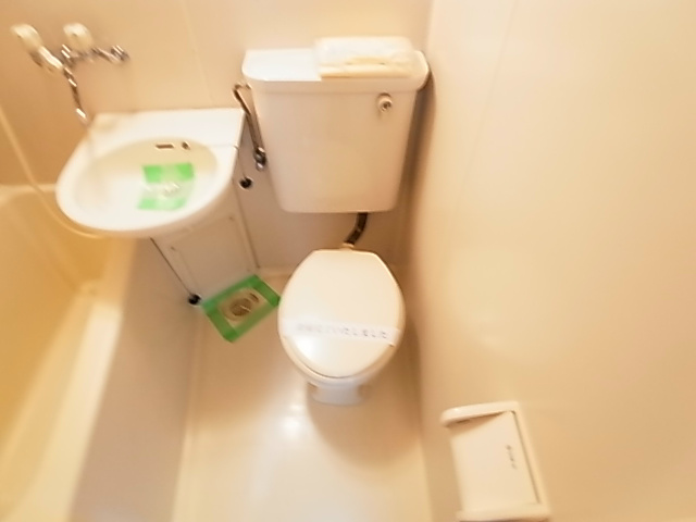 ジュネパレス新松戸第52 その他1