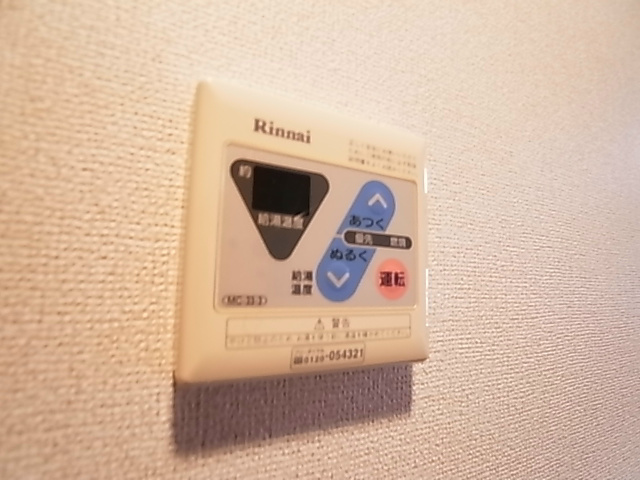 ルビー・ピア その他