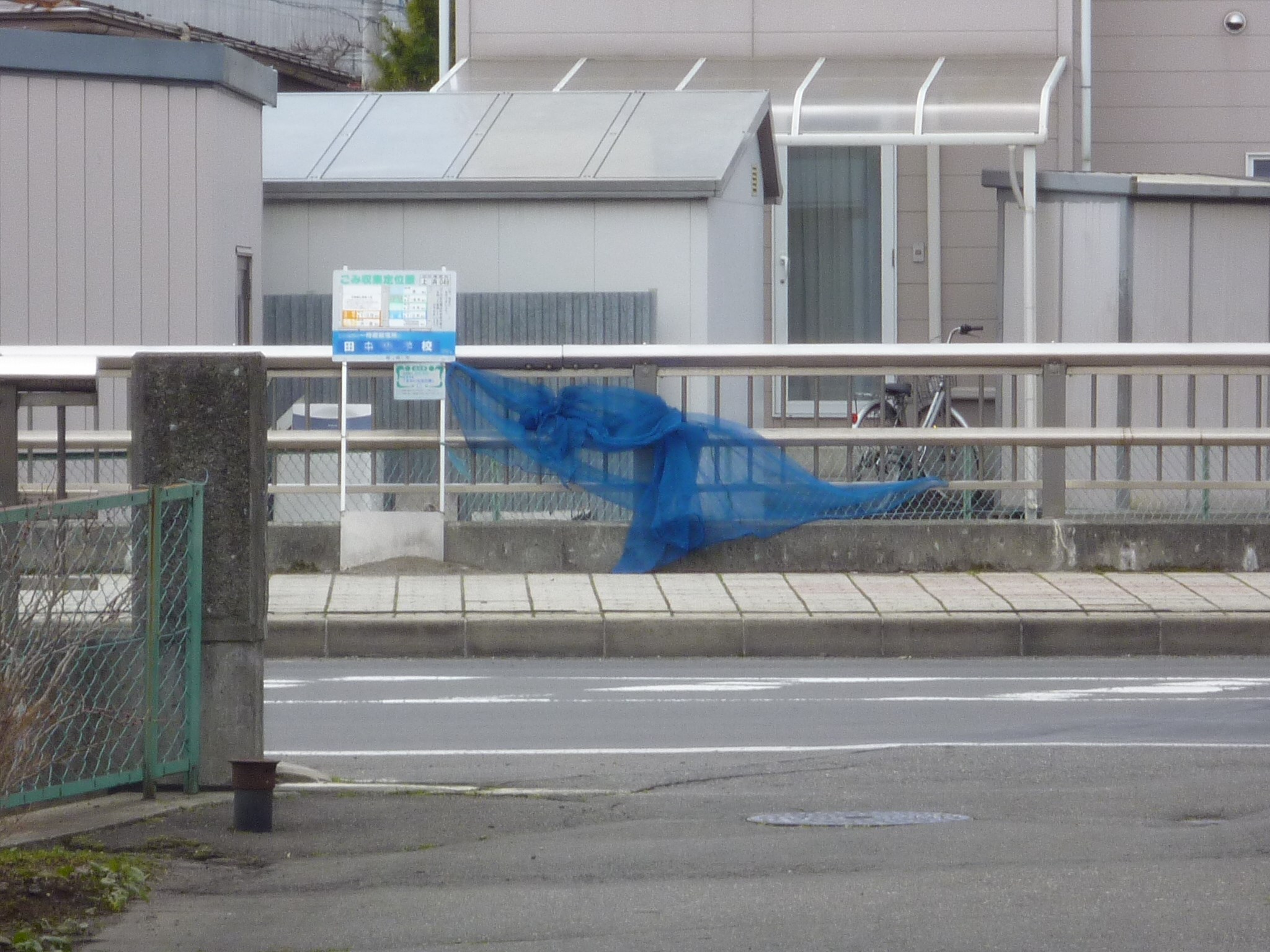 コットンヒルズ坂本 その他