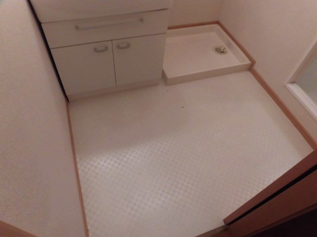 グランデ新田Ａ 洗面所