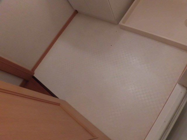 グランデ新田Ａ 洗面所